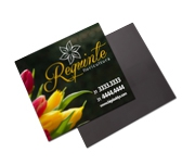IMÃ DE GELADEIRA CORTE RETO COUCHÊ 250G