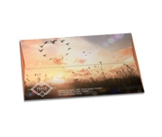 ENVELOPES COMERCIAL - 167X105